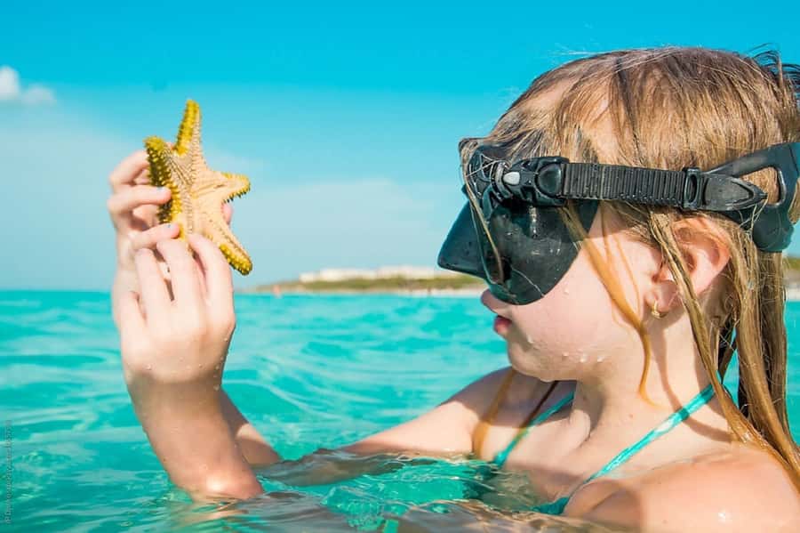 From Muscat: Dimaniyat Islands Snorkeling Tour - Key points to know before booking