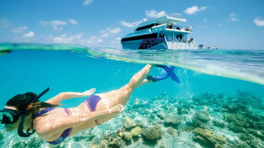 From Muscat: Dimaniyat Islands Snorkeling Tour - From Muscat to the Dimaniyat Islands