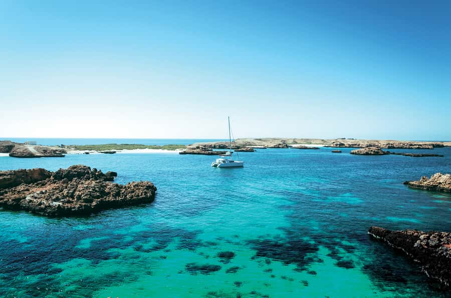 From Muscat: Dimaniyat Islands Snorkeling Tour - The first snorkeling stop has the best wildlife