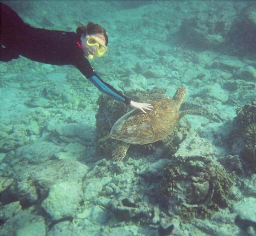 From Muscat: Dimaniyat Islands Snorkeling Tour - What to pack for a better day