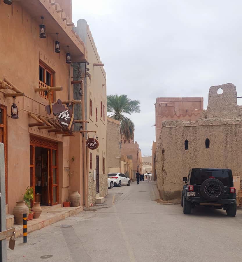 From Muscat: Nizwa and Oman's Historical Gems Tour - Al Hamra and its old mudbrick houses