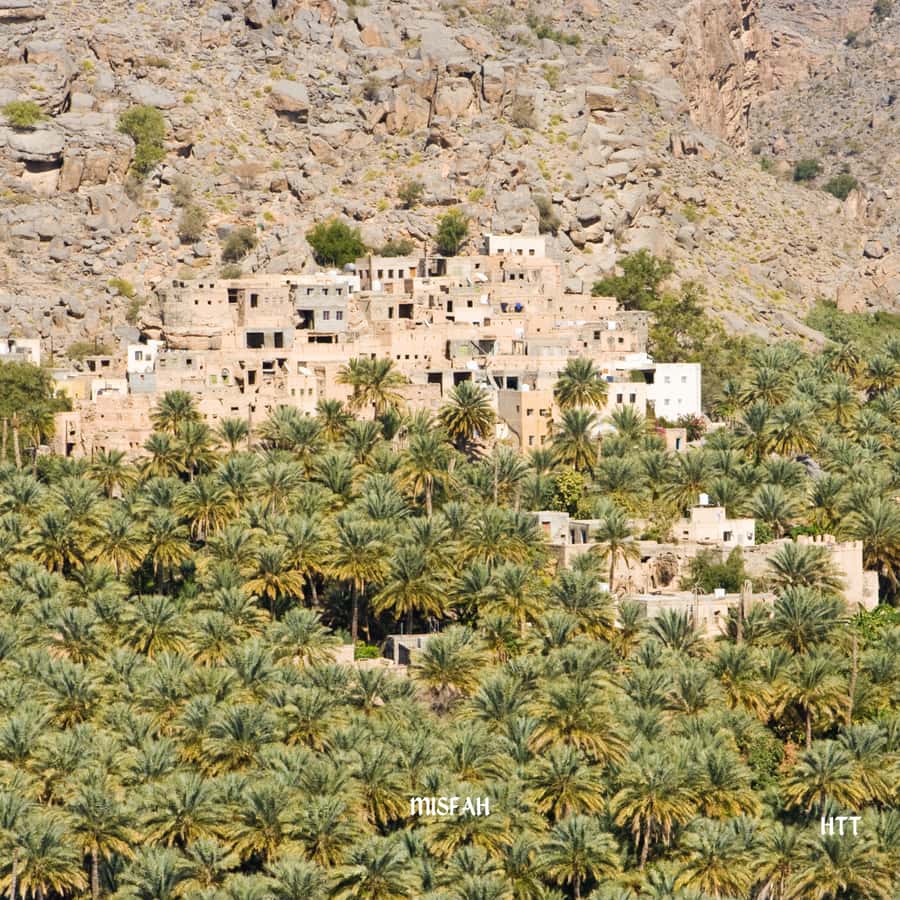 From Muscat: Nizwa Day Trip with Grand Canyon - What the private vehicle and guide add