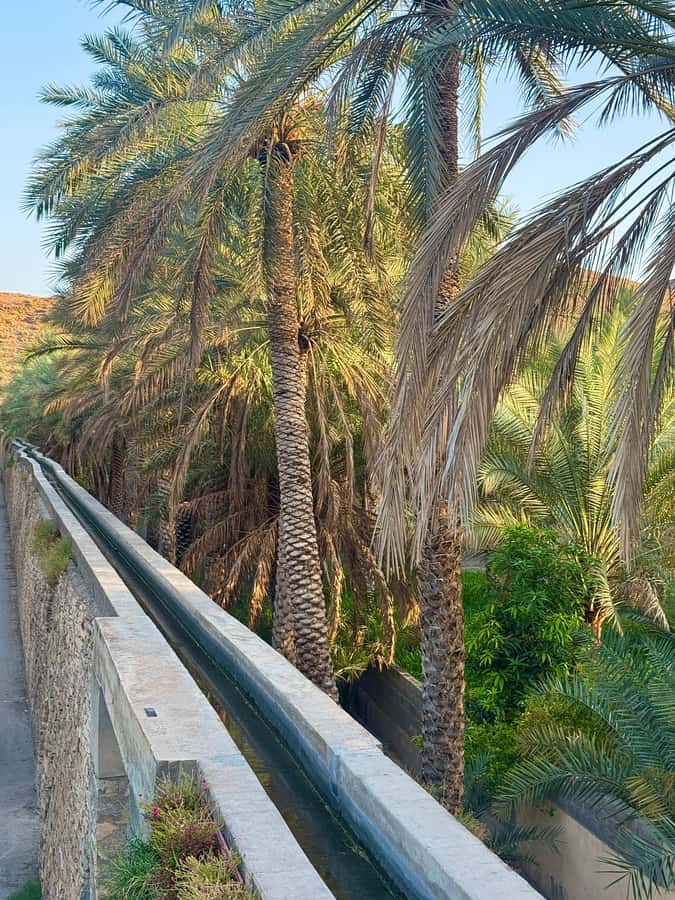 From Muscat: Nizwa Fort, Souq, falaj & Museum Full Day Tour - Nizwa Fort and the View From Its Tower