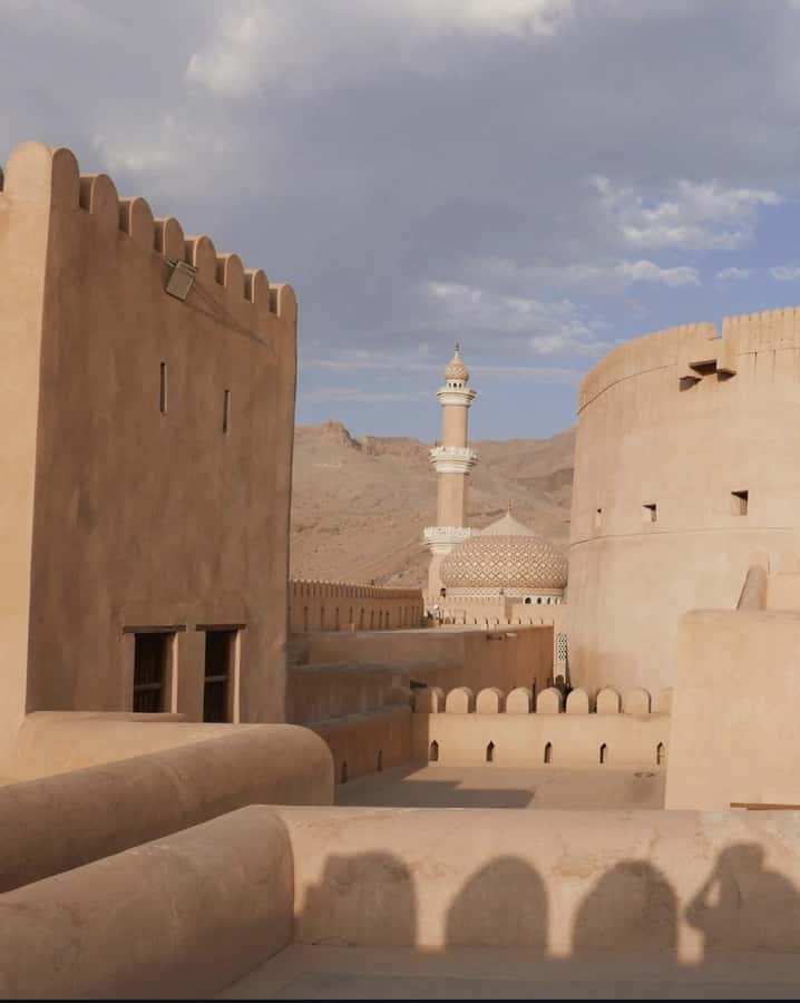 From Muscat: Nizwa Fort, Souq, falaj & Museum Full Day Tour - Birkat Al Mouz and the Falaj Water System