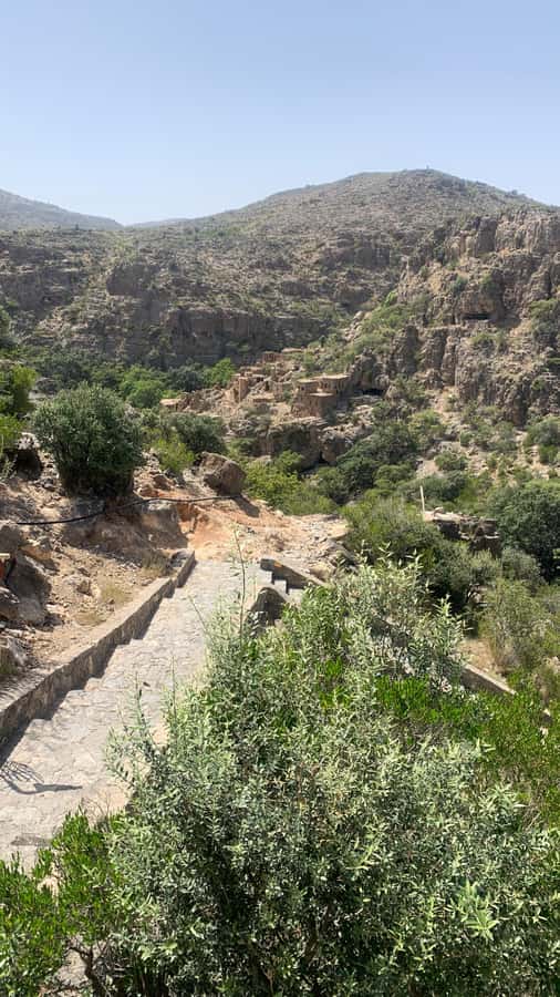 From Muscat: Private Nizwa and Jabel Akhdar-Shams with Lunch - Birkat Al Mouz shows the quieter side of the region