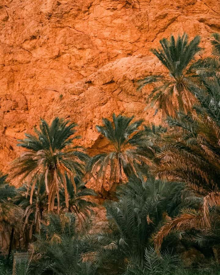 From Muscat:Private Wadi Shab and Bimmah SinkHole Tour - A private tour for a flexible day