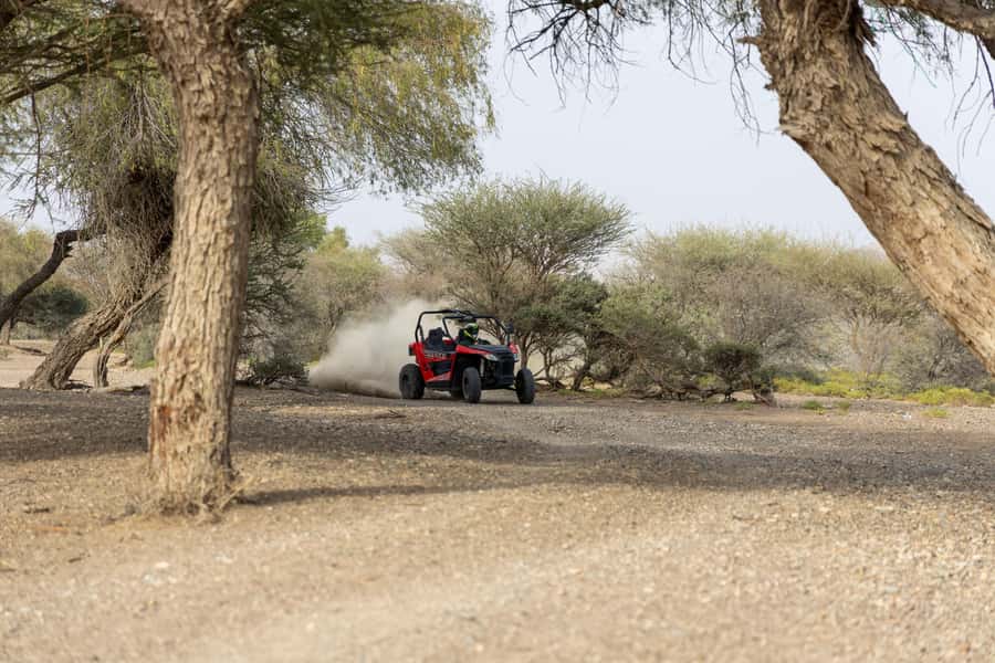 From Muscat: Self-Drive ATV Adventure in Wadi Al Rak - Who will enjoy this drive most