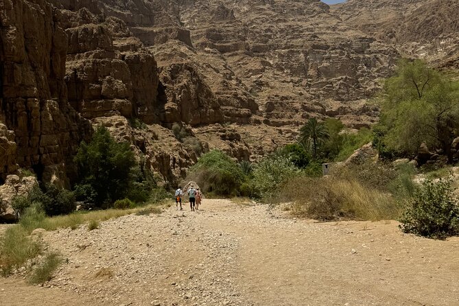 From Muscat Wadi Shab and Bimmah Sinkhole Tour - Timing, pickup, and the shape of the day