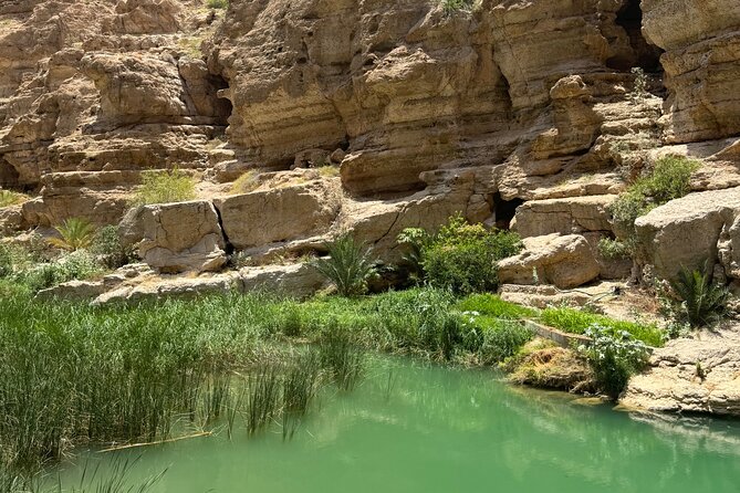 From Muscat Wadi Shab and Bimmah Sinkhole Tour - Who will get the most from this outing?