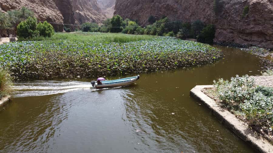 From Muscat: Wadi Shab & Bimmah Sinkhole Full-Day Tour - Bimmah Sinkhole makes a good second stop