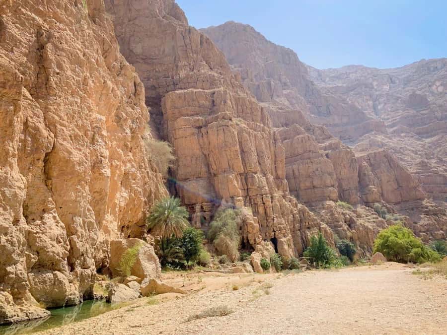 From Muscat: Wadi Shab & Sinkhole Private Tour & Free Lunch - Who should book this outing