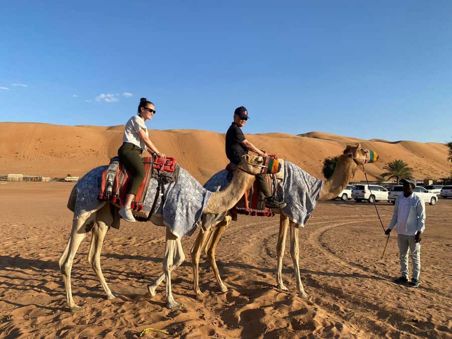 From Muscat: Wahiba Sands Sunset with Desert Camp Dinner - Short dune bashing for a change of pace
