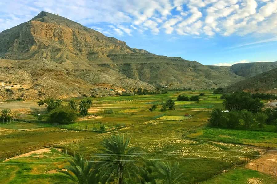 From Ras Al Khaima : Dolphin Watching and Jabal Harim Safari - Jabal Harim by private 4x4