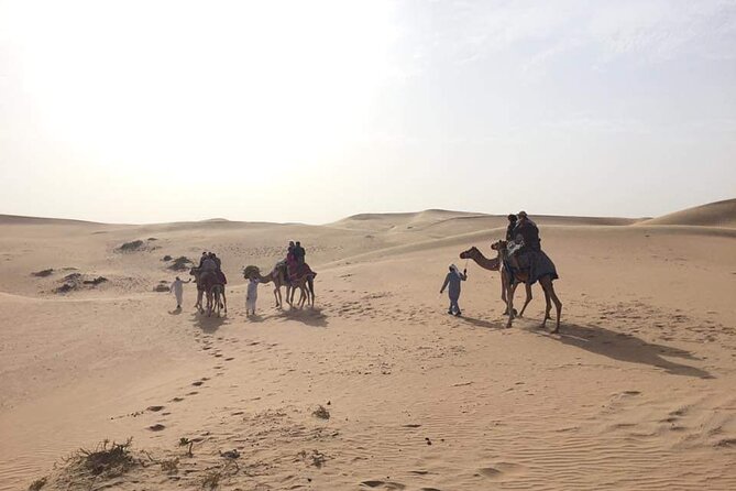 Full-Day Desert Safari Jeep Tour in Ash Sharqiyah Governorate - What the $139 price buys you