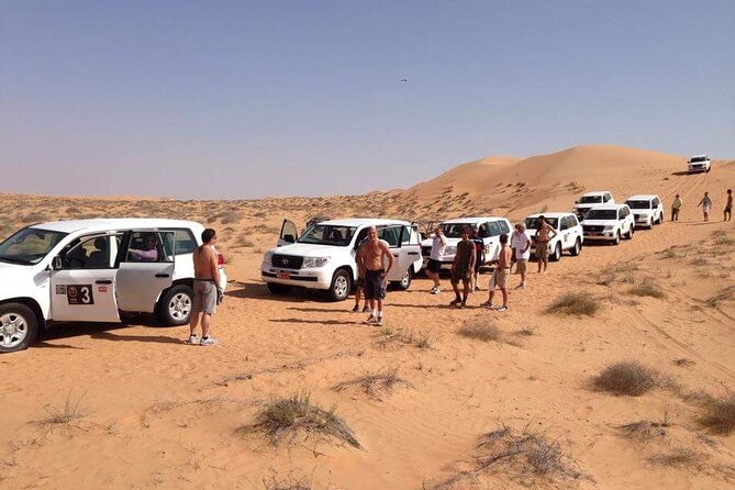 Full-Day Desert Safari Jeep Tour in Ash Sharqiyah Governorate - Practical advice for a smoother day