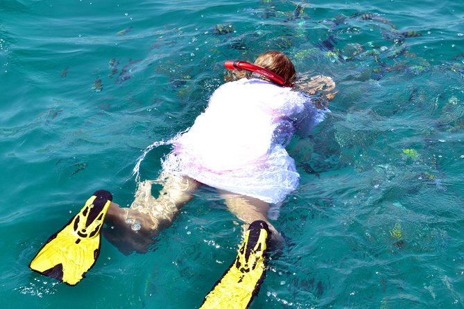 Full Day Dhow Cruise to Khor Sham with lunch & Snorkeling (Shore excursions) - Telegraph Island and the first swim