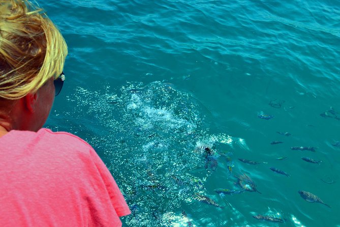 Full Day Dhow Cruise to Khor Sham with lunch & Snorkeling (Shore excursions) - Dolphin watching at the fjord entrance