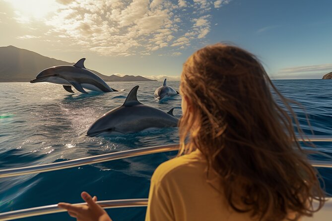 Full day Dhow: Khasab, Musandam: Dolphins, Snorkeling & Fjords - Key points to know before you go