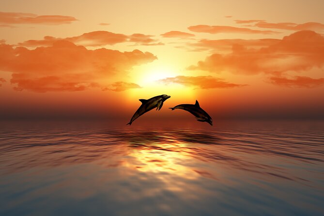 Full day Dhow: Khasab, Musandam: Dolphins, Snorkeling & Fjords - Seebi Island, snorkeling, and time in the water
