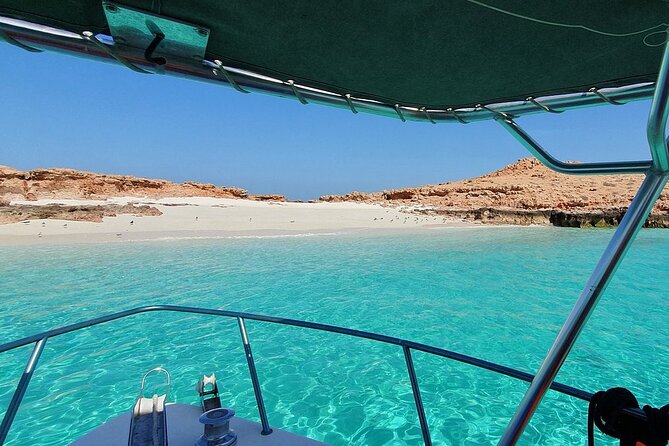 Full Day Dimaniyat Island Excursion - Snorkeling Over Coral Reefs