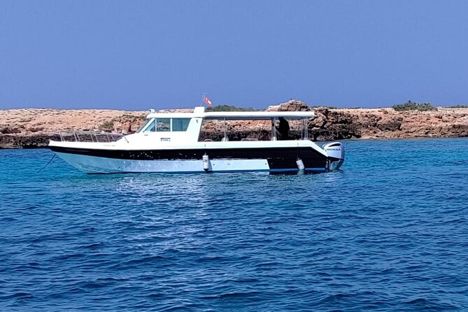 Full Day Dimaniyat Island Excursion - How the Seven Hours Feel