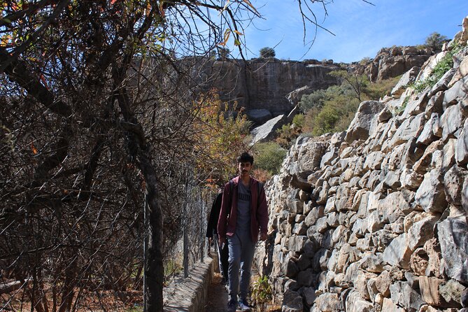 Full-Day Guided Tour to Jebel Akhdar - Price, transport, and what you receive