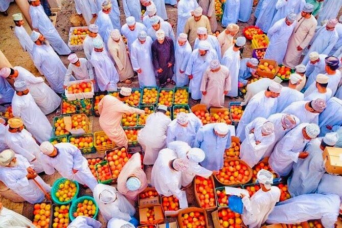 Full Day Private Historical Tour from Muscat to Nizwa Region - What the private format adds
