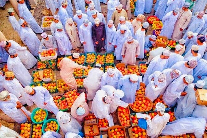 Full Day Private Nizwa/Jebel Akhdar - What $187 per person buys you
