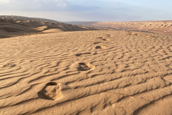 Full-Day Private Tour of Wahiba Sands Desert and Wadi Bani Khalid - Who will enjoy this tour most