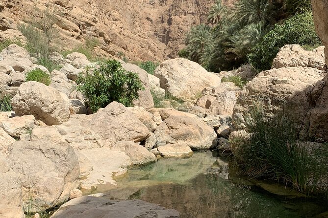 Full Day Private Tour to Wadi Shab and Bimmah Sinkhole - Practical packing advice for the canyon
