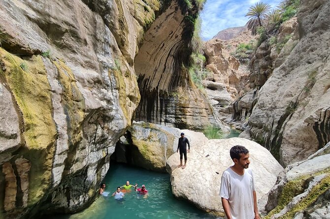 Full-Day Private Wadi Tiwi Adventure - What your guide adds to the day