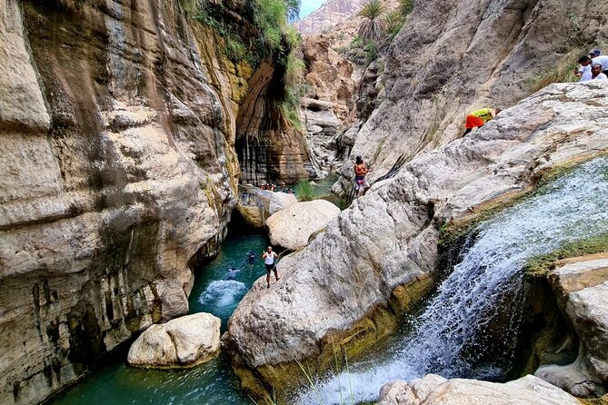 Full-Day Private Wadi Tiwi Adventure - Swimming, walking, and the practical side of the wadi