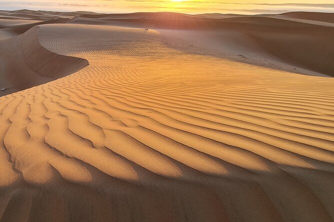 Full-Day Private Wahiba Sands Desert and Wadi Bani Khalid Tour - Is $168.30 per person good value?