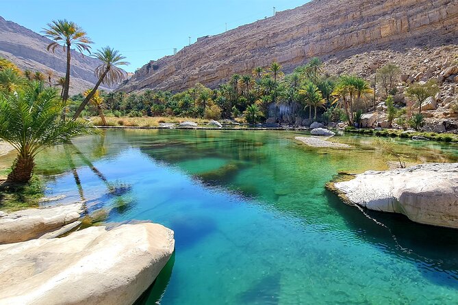 Full-Day Private Wahiba Sands Desert and Wadi Bani Khalid Tour - Timing, weather, and what to bring