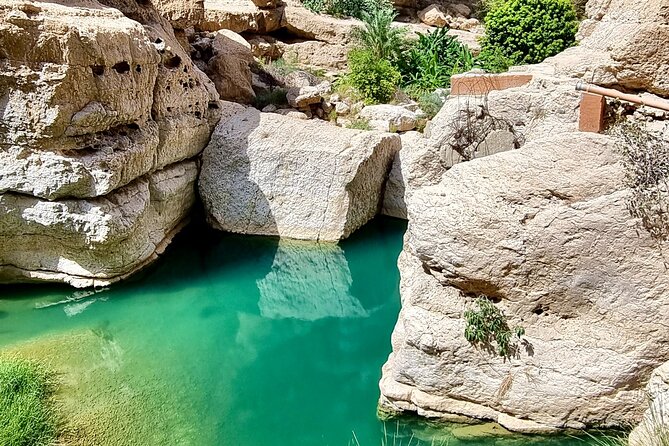 Full Day Tour in Wadi Shab - What the $236 price buys you