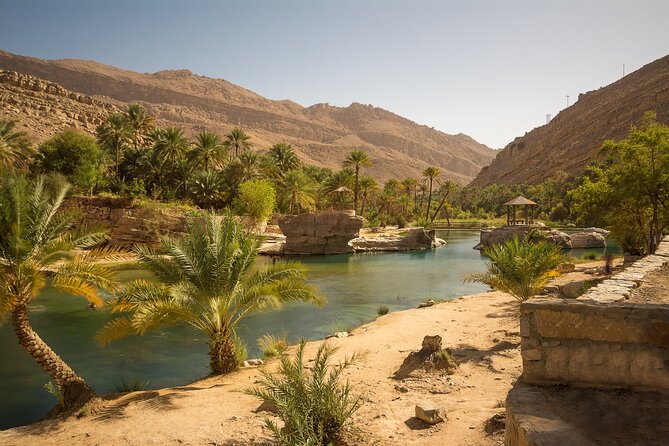 Full-Day Wahiba Desert and Wadi Bani Khalid Group Tour - Guides, comfort, and the feel of the group