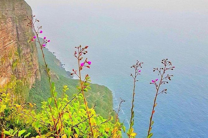Full day west tour of Salalah - Why Salalah’s west side makes a strong full-day outing