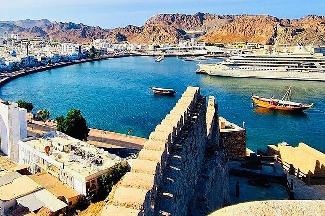 Half-Day Private Guided Muscat City Sightseeing Tour - The Royal Opera House and Muscat’s modern face