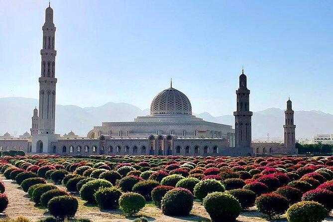 Half Day Private Muscat City Afternoon Tour - Mohammed Al Ameen Mosque in Bawshar