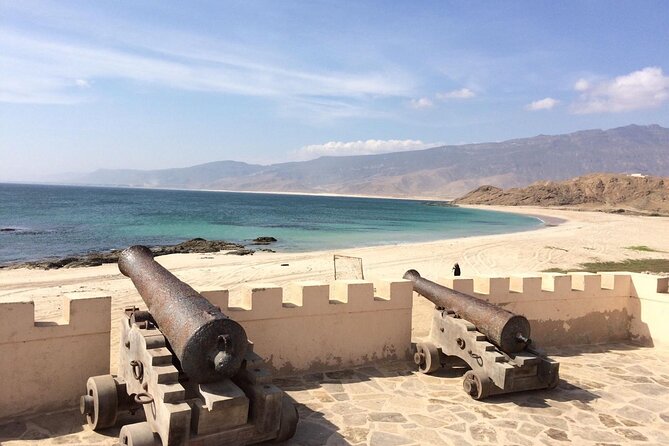 Half Day Private Muscat City Afternoon Tour - Royal Opera House and Muscat’s modern face