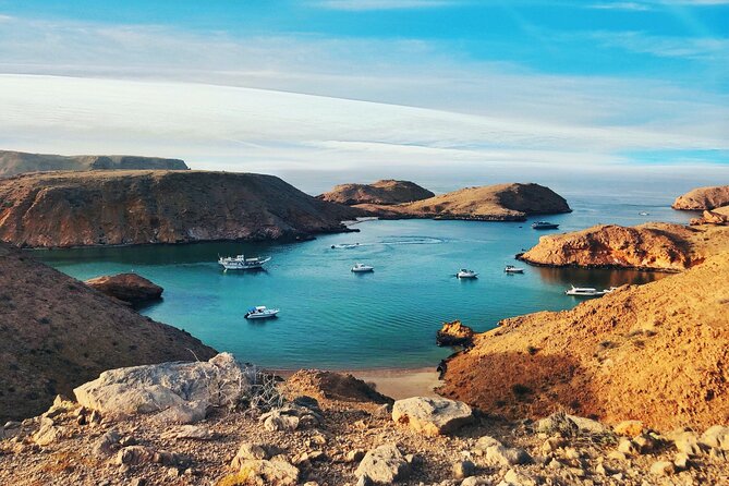 Half-Day Private Muscat City Tour- with a local guide - Is $100 per person good value?