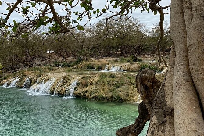 Half-Day Private Salalah East Tour - Key points to know before booking