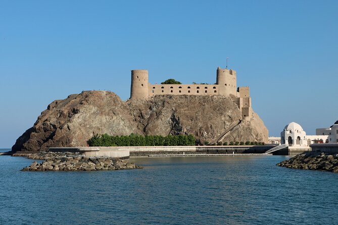 Half-Day Private Tour in Muscat - Al Alam Palace and Muscat’s ceremonial center