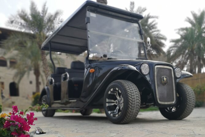 Heritage private Tour by classic carts - Starting at Nizwa Fort