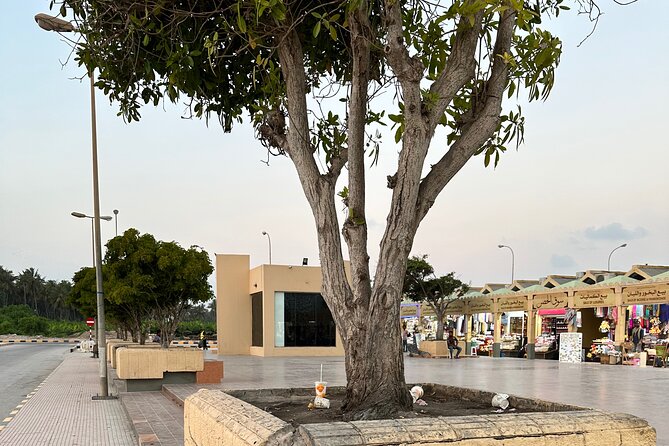 Historical Salalah City Tour - Fruit plantations and a coconut drink