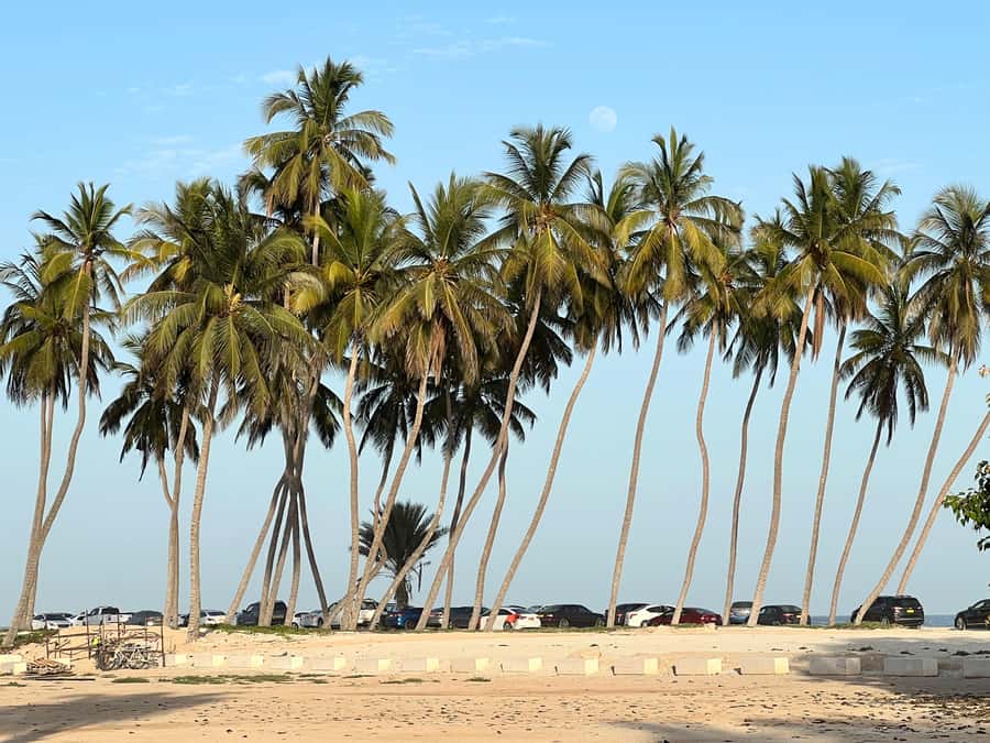 Historical Salalah City Tour with Culture, Food & Shopping - Why this four-hour Salalah tour works