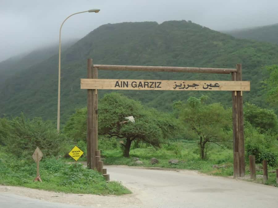 Historical Salalah City Tour with Culture, Food & Shopping - Entering Sultan Qaboos Mosque