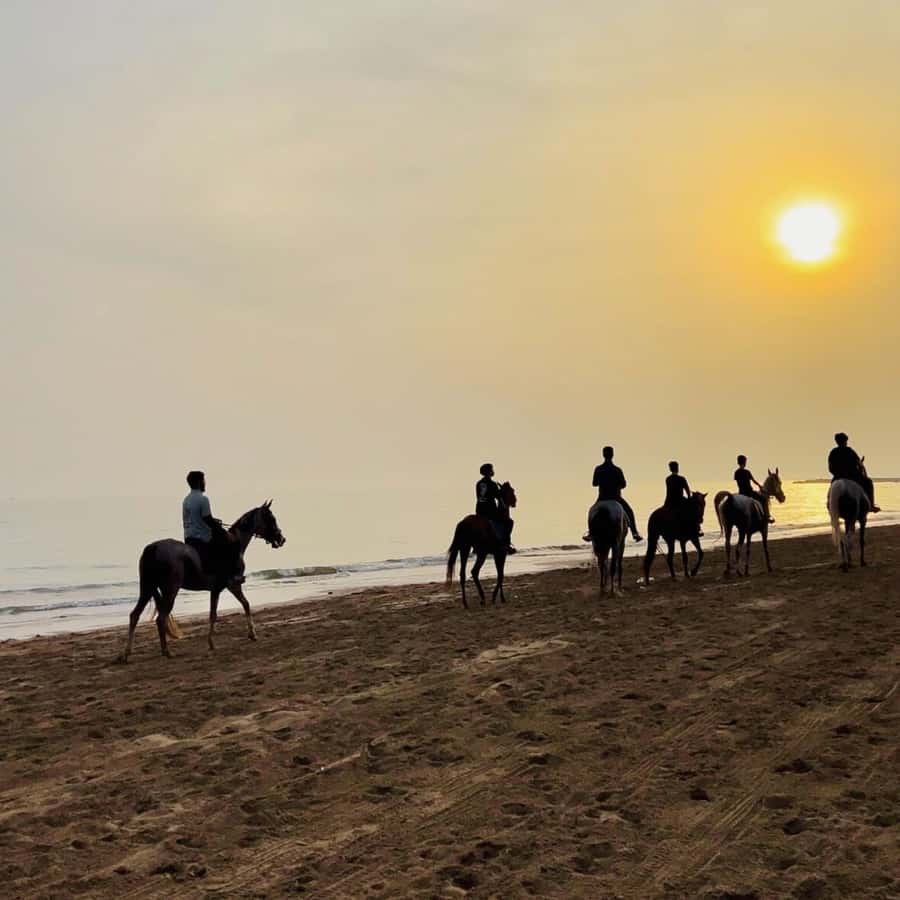 Horse riding in muscat beach - A Beach Ride Close to Muscat Airport