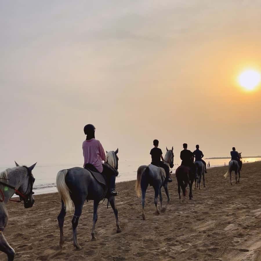 Horse riding in muscat beach - What the One-Hour Ride Feels Like