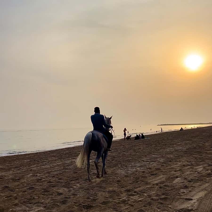 Horse riding in muscat beach - Who Should Book This Horse Ride